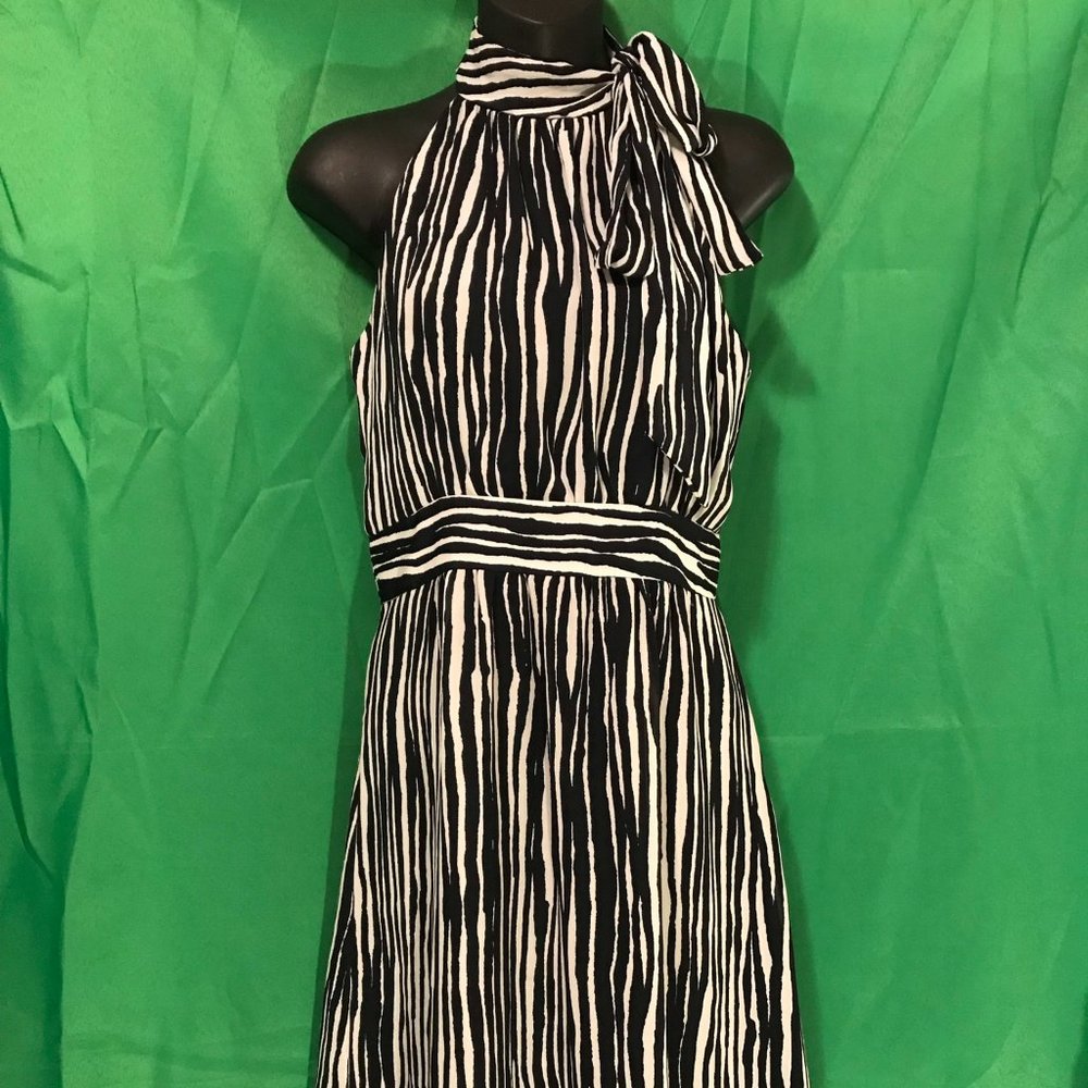 Banana Republic Avery dress
